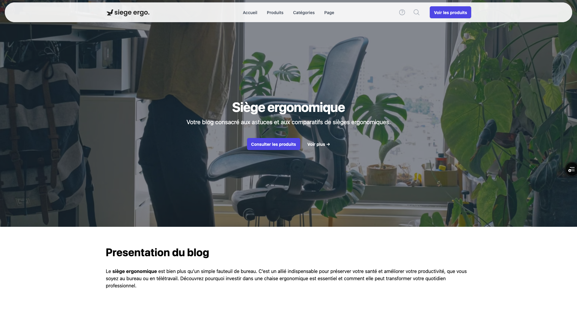 Image du projet /projects/siege-ergonomique/siege-ergonomique-1.png